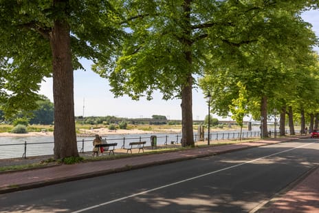 IJsselstraat 3 secondary image