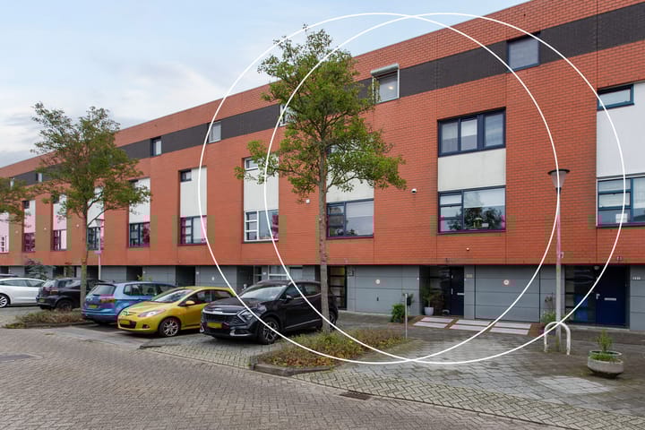 Polderpeil 310 main image