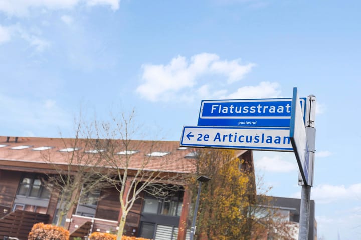 Foto 39 van Flatusstraat 105