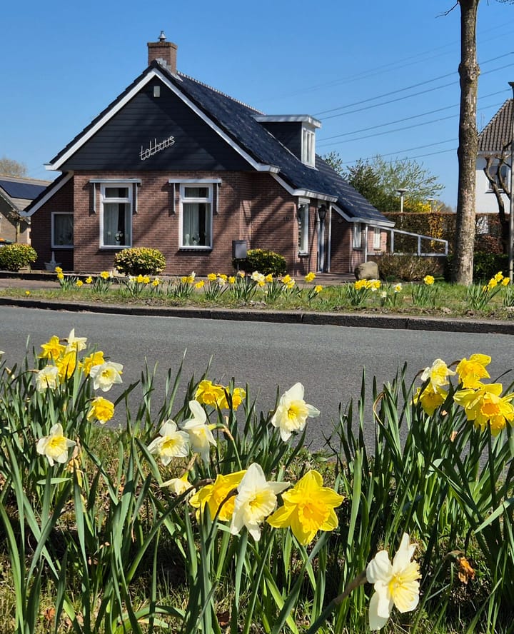 Photo 4 of Toldijk 15