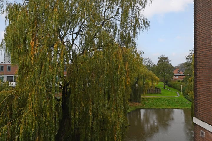 Photo 20 of Vestdijkhove 54