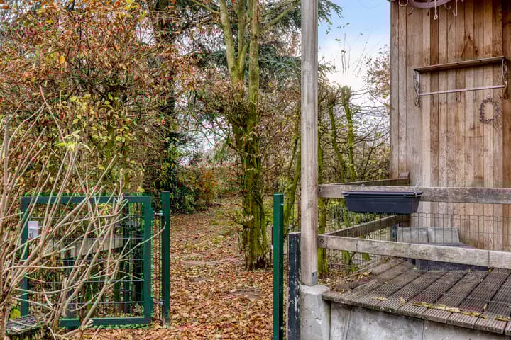 Photo 42 of Greveling 13