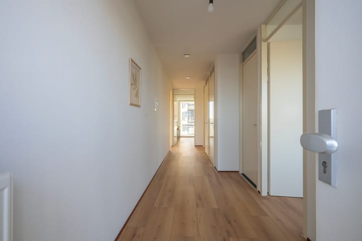 Photo 6 of Mercuriuspad 33