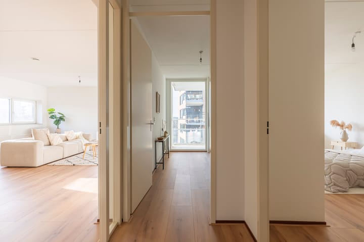 Photo 7 of Mercuriuspad 33