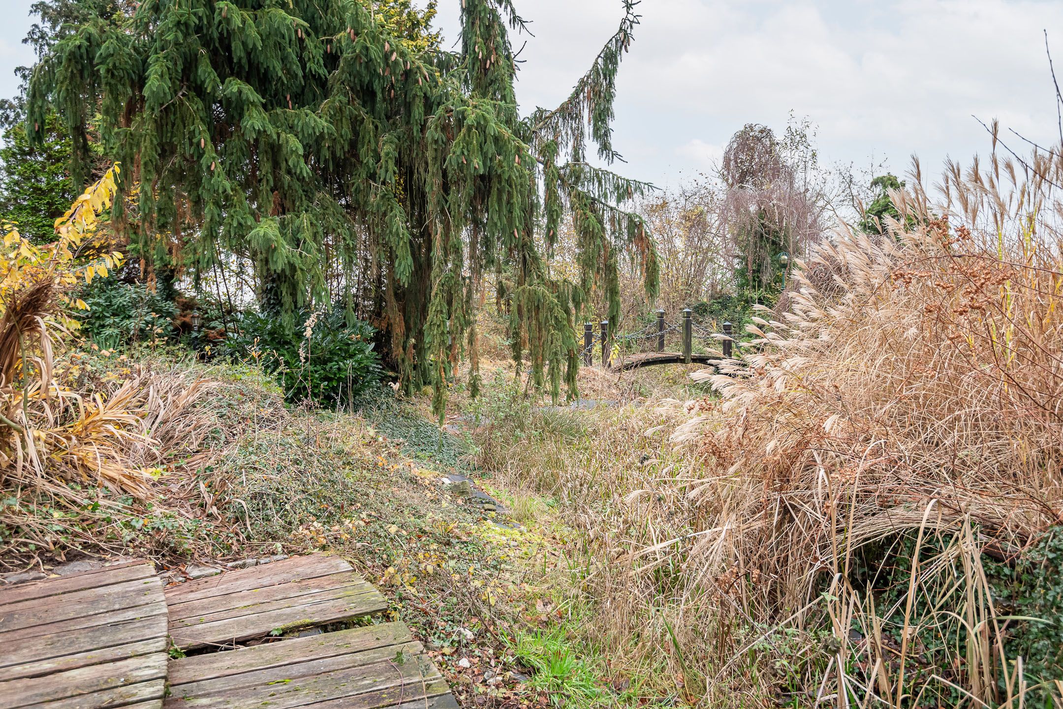 Foto 66 van Neerveldseweg 1-A