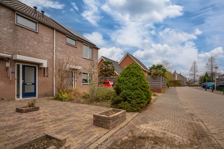 Foto 5 van Morgen 17