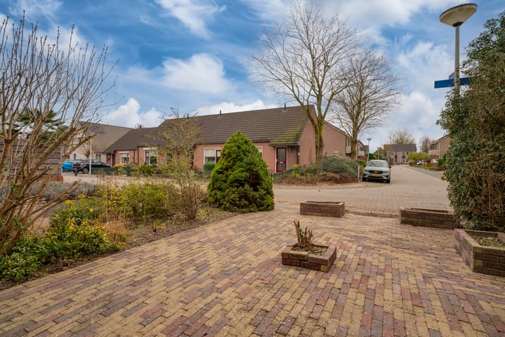 Foto 6 van Morgen 17