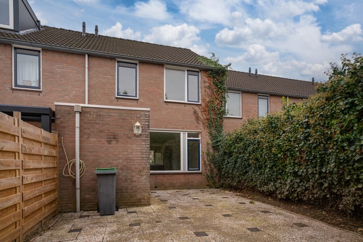 Foto 17 van Morgen 17