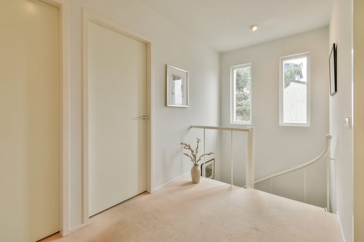 Photo 19 of Vlasakker 80