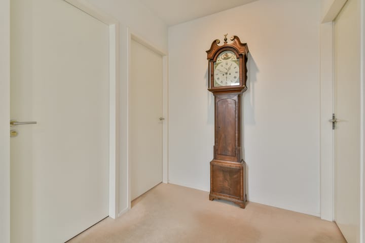 Photo 20 of Vlasakker 80