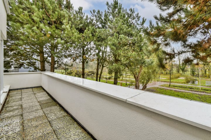 Photo 27 of Vlasakker 80