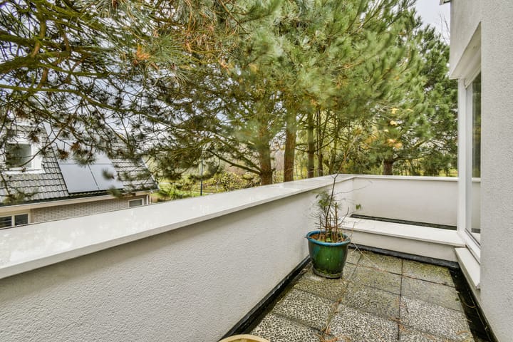 Photo 28 of Vlasakker 80