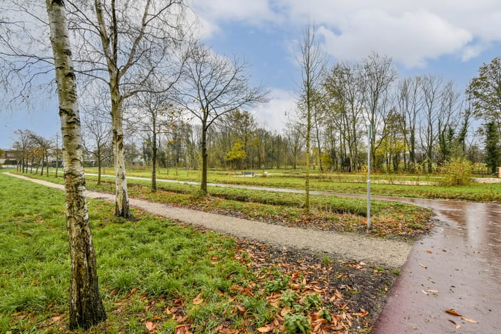 Photo 41 of Vlasakker 80