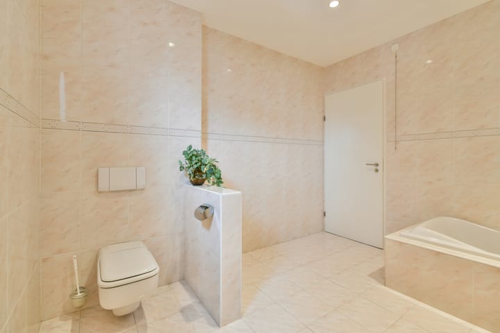 Photo 30 of Vlasakker 80