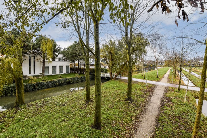 Photo 36 of Vlasakker 80