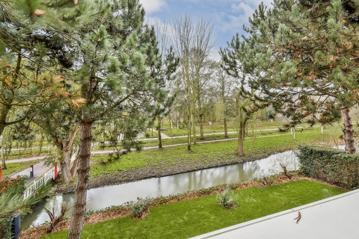 Photo 29 of Vlasakker 80