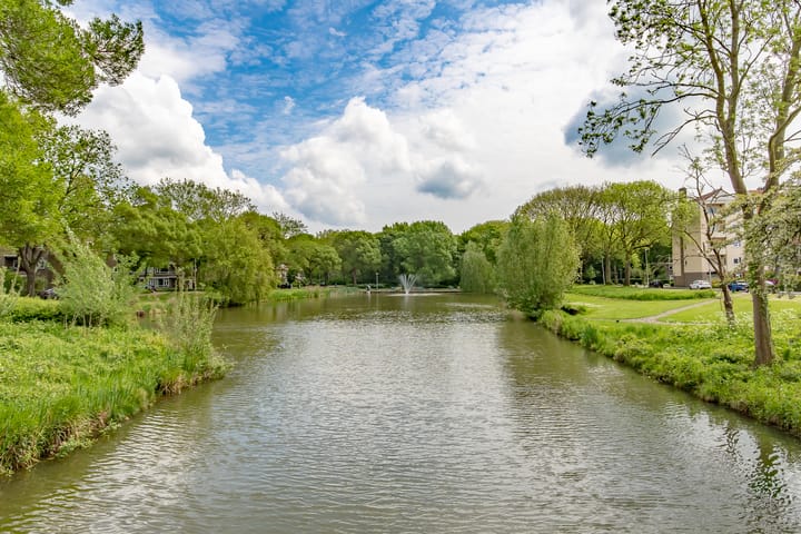 Photo 31 of Ridderplantsoen 21