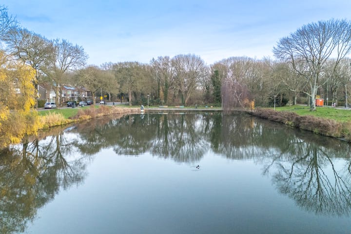 Photo 39 of Ridderplantsoen 21