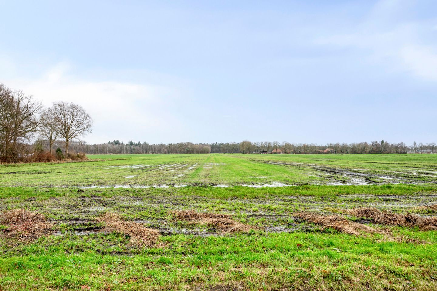 Foto 4 van P.W. Janssenlaan 8