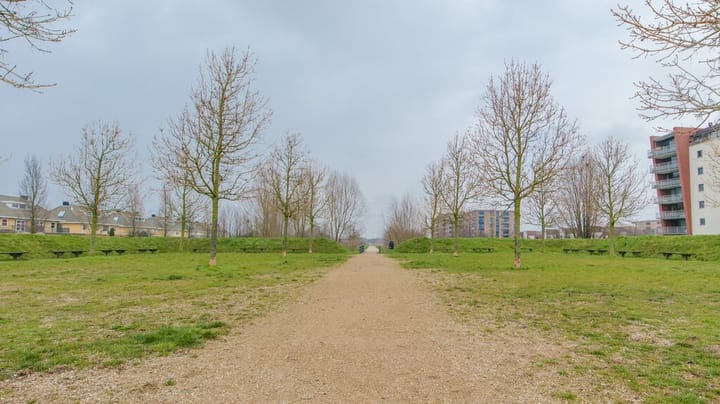 Foto 24 van Lobeliuslaan 238