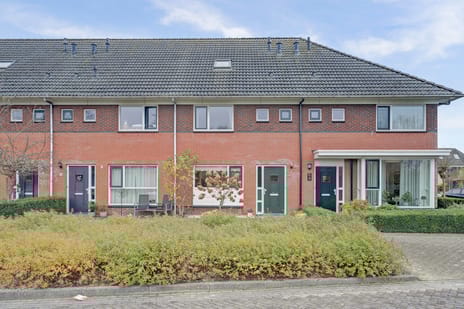 undefined main image