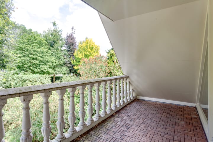 Foto 35 van Agaatvlinder 34