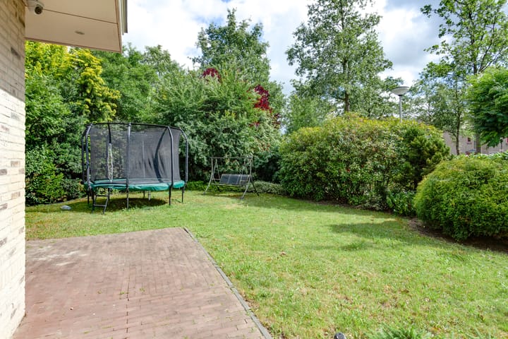 Foto 38 van Agaatvlinder 34