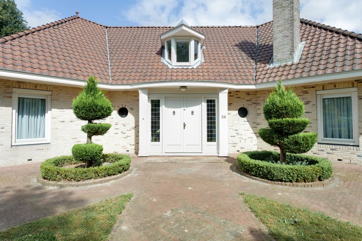 Foto 42 van Agaatvlinder 34