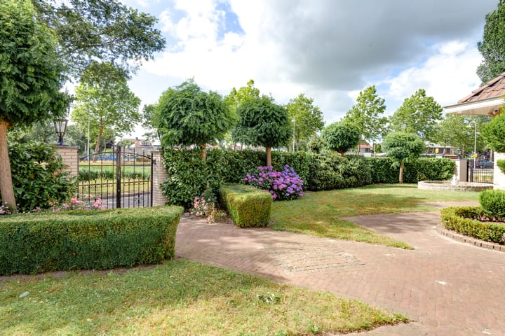 Foto 44 van Agaatvlinder 34