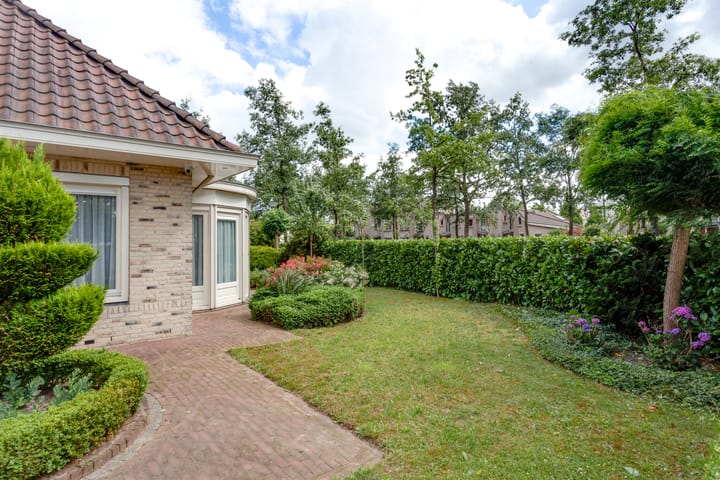 Foto 45 van Agaatvlinder 34