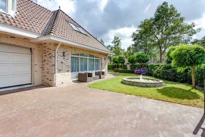 Foto 48 van Agaatvlinder 34