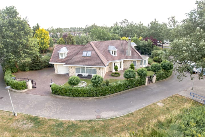 Foto 49 van Agaatvlinder 34