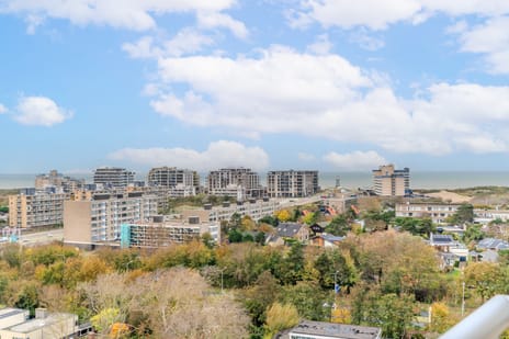 Heliotrooplaan 360-S tertiary image