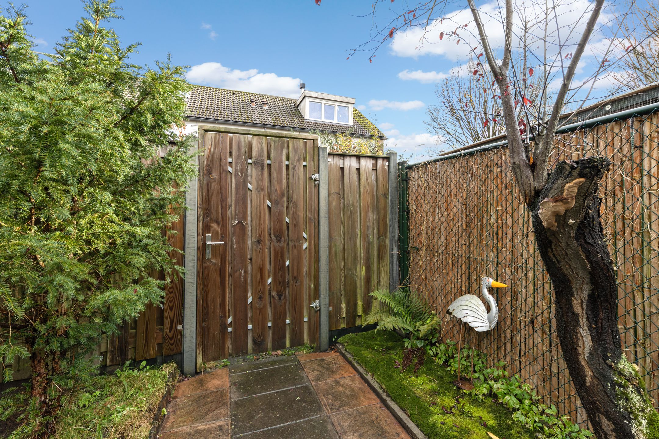 Photo 42 of Isabelladonk 40