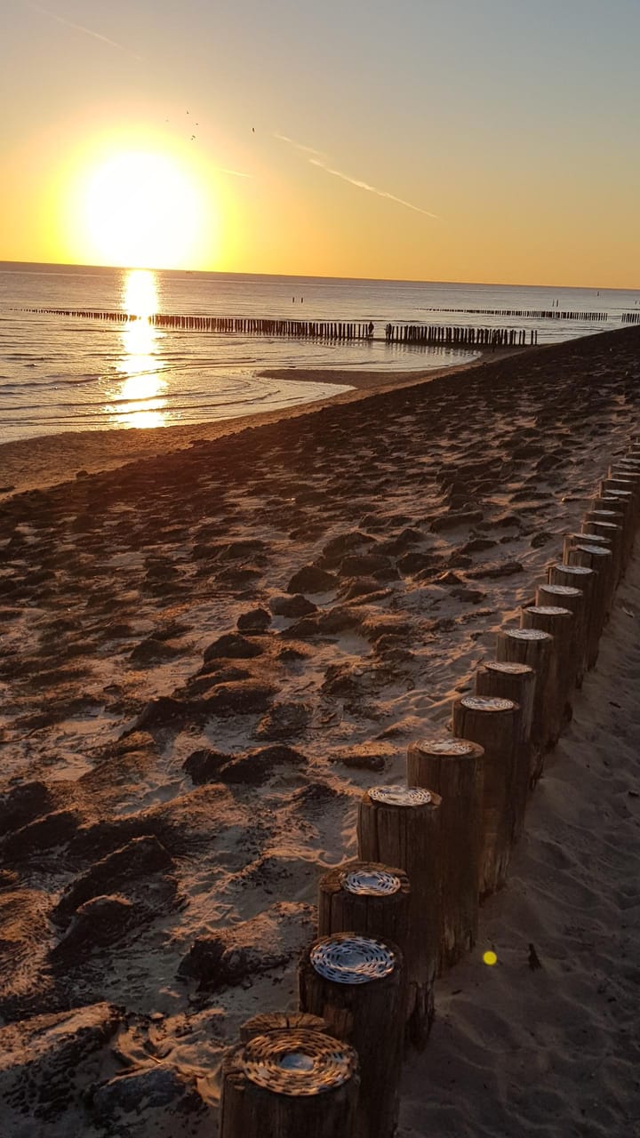 Foto 60 van Bosweg 42