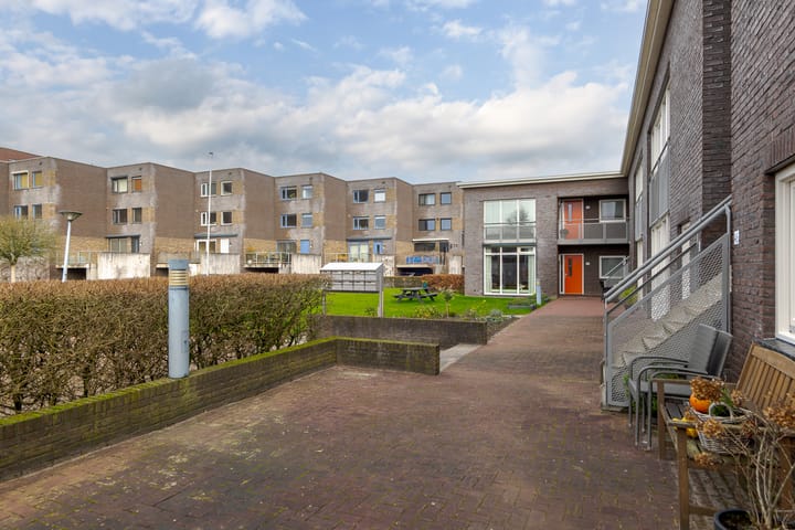 Foto 6 van Puntkroos 44