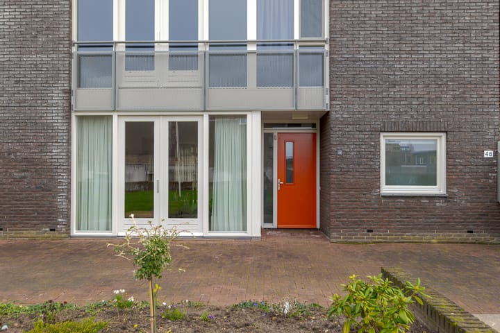 Foto 7 van Puntkroos 44