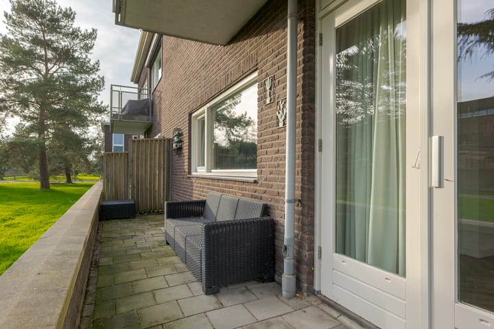 Foto 22 van Puntkroos 44