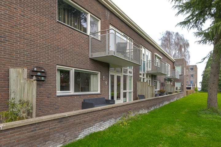 Foto 24 van Puntkroos 44