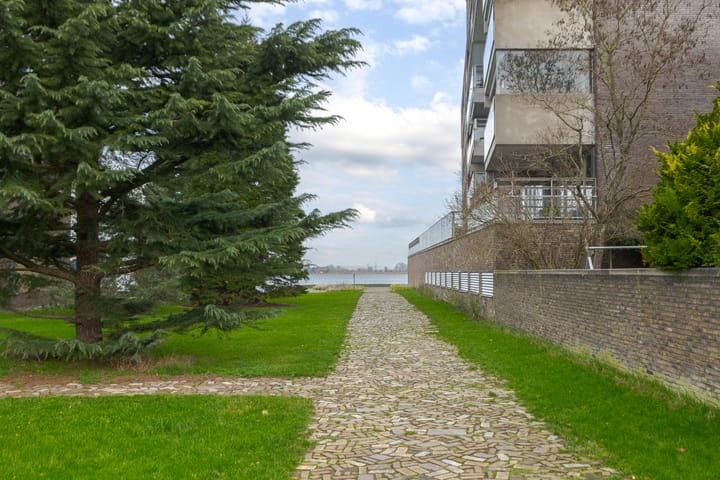 Foto 26 van Puntkroos 44