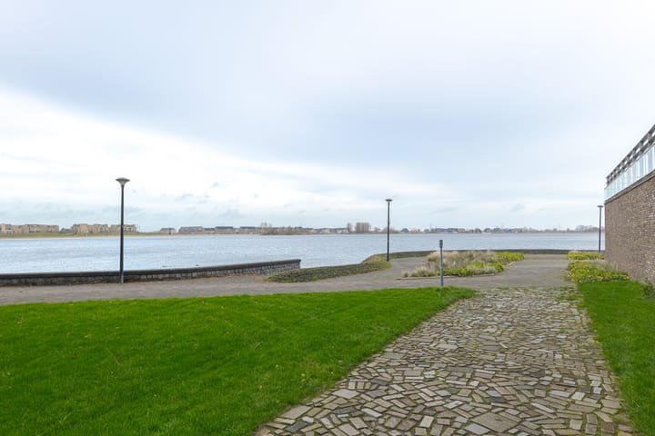 Foto 27 van Puntkroos 44