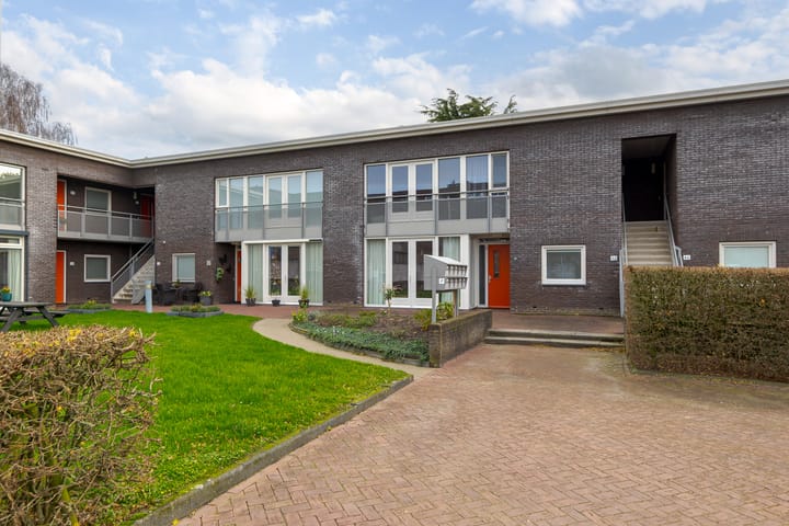 Foto 40 van Puntkroos 44