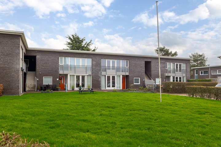 Foto 41 van Puntkroos 44