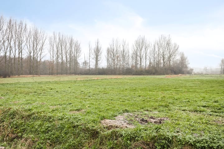 Foto 34 van Borgsweg 8