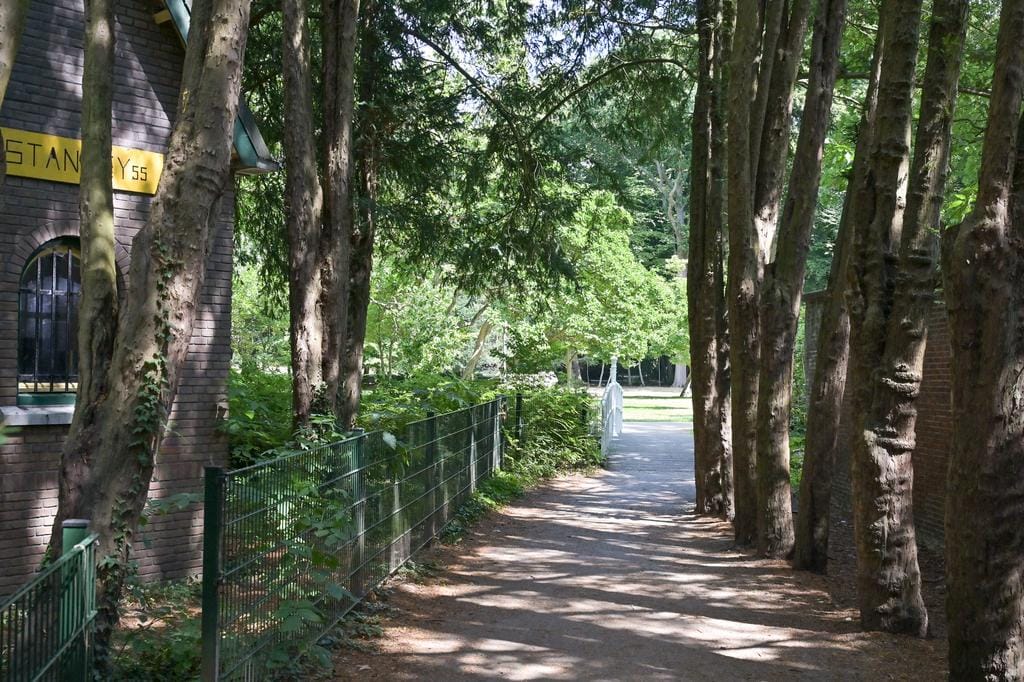 Photo 35 of Burnierstraat 22