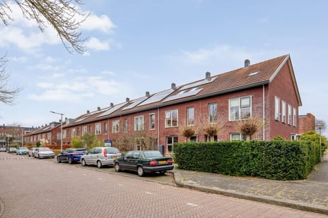 Kievitsbloemstraat thumbnail