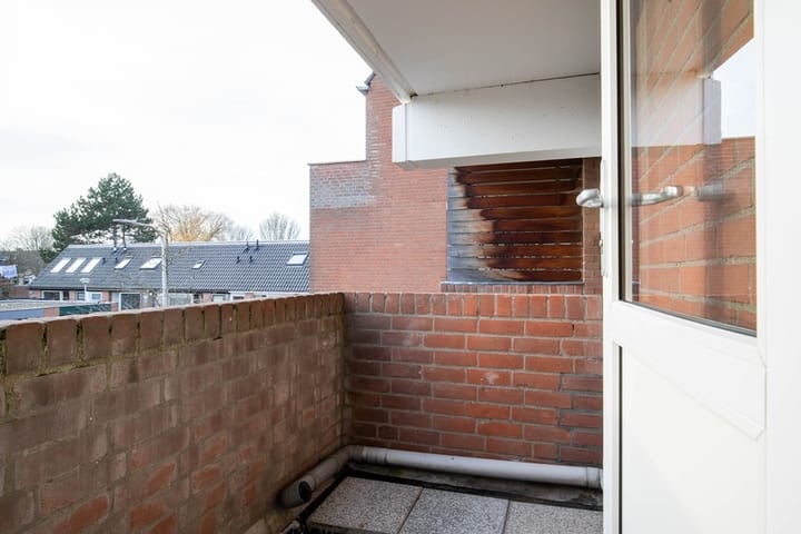 Foto 13 van Venus 28