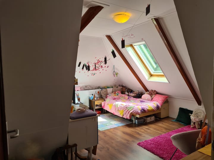 Photo 22 of Drachtster Heawei 38