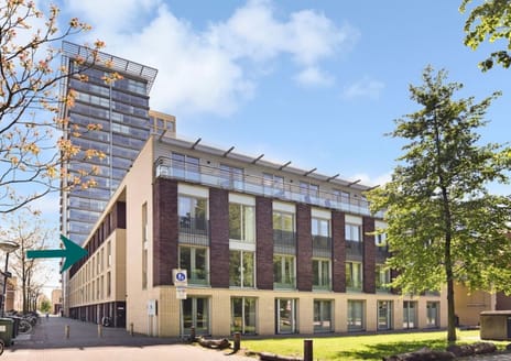 undefined main image