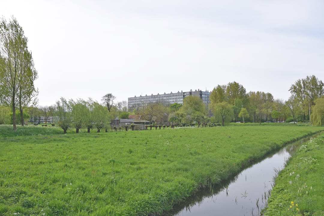 Foto 23 van Pahud de Mortangesdreef 244